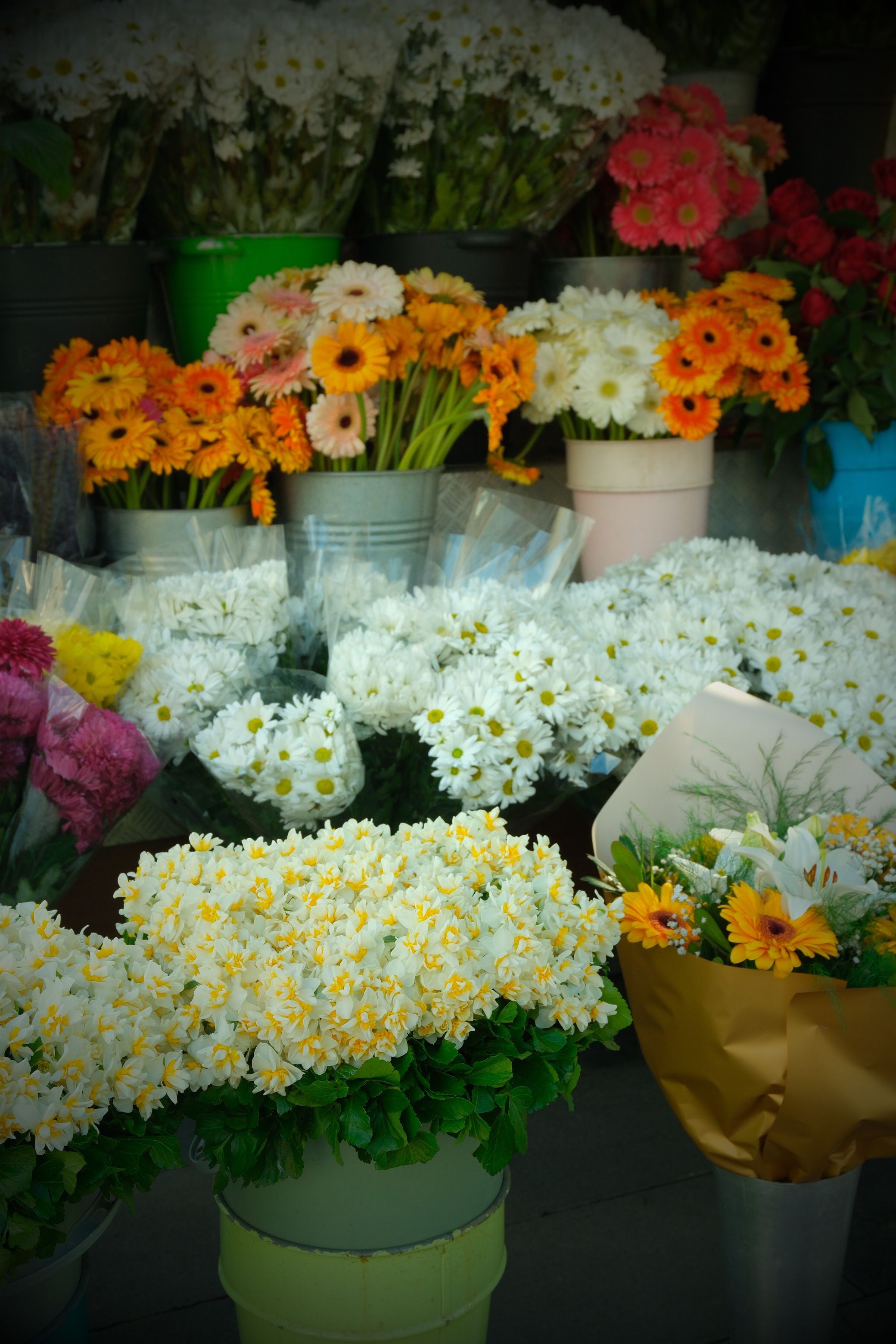 Colorful tulip arrangement